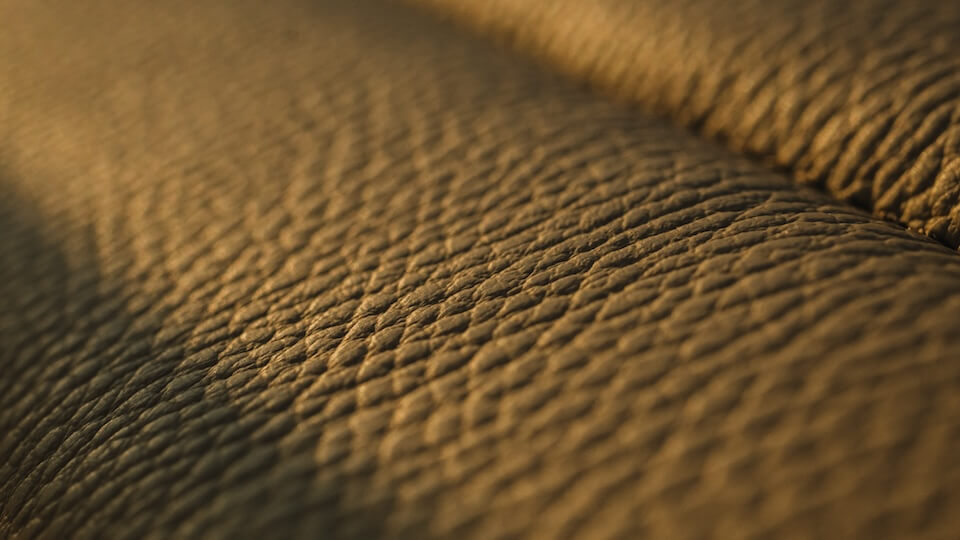 CANNA One electric boat