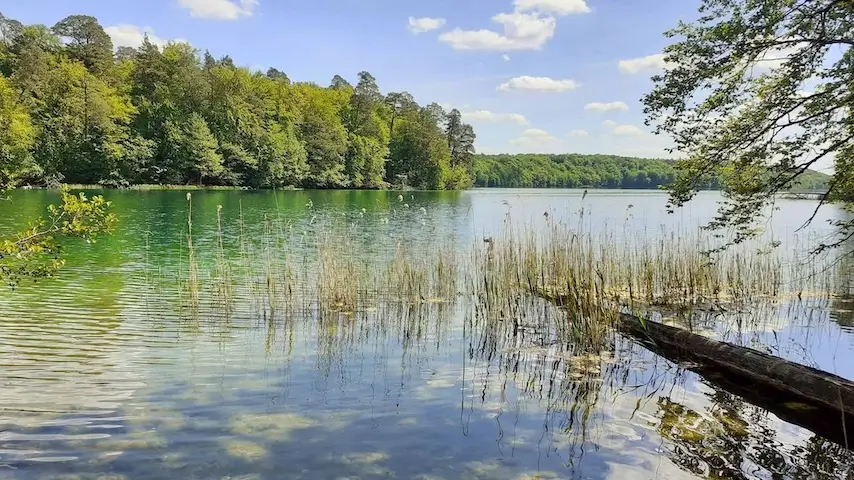 Stechlinsee Stechlinsee
