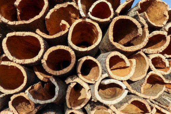 cork